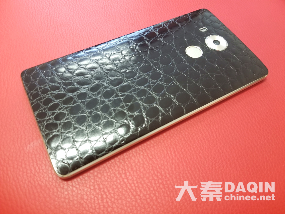 black crocodile skin